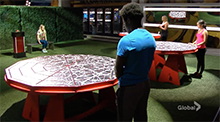 Web Of Flies Big Brother Canada